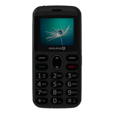 Telefon mobil Evelatus ARON 2020 Graphite Black